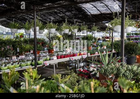 Aubagne (south-eastern France): Auchan Barneoud shopping mall. Auchan-Aubagne hypermarket. Shaded garden center protected from the sun by reeds Stock Photo