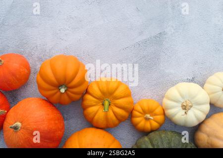 Pumpkins on grey background with copy space. Colorful varieties of gourds. Stock Photo