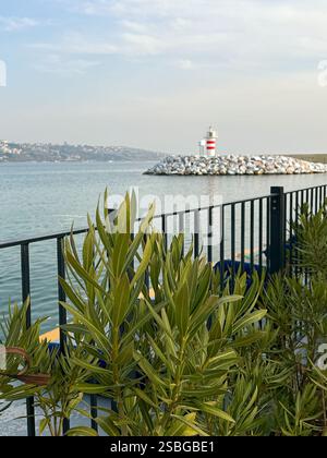 This picturesque image captures a tranquil coastal view with a vibrant red and white lighthouse perched on a rocky barrier. Framed by lush green folia Stock Photo