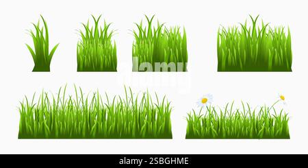 Fragments of green grass. Set of clumps of grass Stock Vector