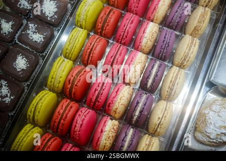 A colorful assortment of macarons and chocolate squares displayed in a clear tray, showcasing a delightful variety of flavors and textures. Stock Photo