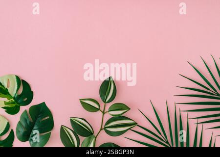 Colorful tropical leaves on light pastel pink background. Minimal summer exotic concept with copy space. Creative nature layout. Border arrangement. Stock Photo