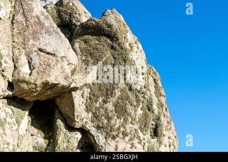 Moss growing on a rock Stock Photo