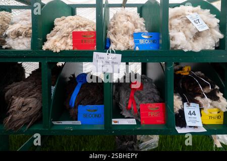Wool Display at The Great Yorkshire Show, England Stock Photo - Alamy