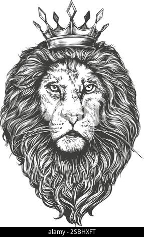 animal lion, king of beasts, hand drawn vector illustration sketch. Stock Vector