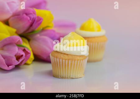 Tulips and mini cupcakes for Easter, birthdays and Mother's day with space for copy/text Stock Photo