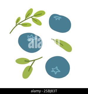 Illustration of blueberries and green branches and leaves on a white background. The design features simple, hand-drawn elements with a minimalist Stock Vector