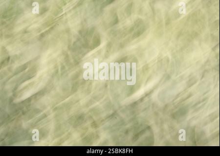 Abstract green background Stock Photo
