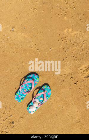 flip flops with seashells on the beach Stock Photo