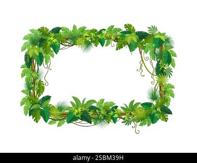Liana frame of tropical jungle ivy or rainforest vine leaves and branches, vector background. Liana vine or ivy leaf frame with borders of monstera le Stock Vector