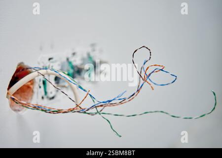 Close-up of exposed twisted network cables protruding from wall socket. Unfinished wiring work showing data cable installation or repair Stock Photo