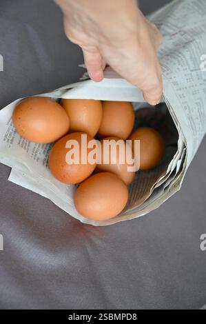Vertical shot with chicken eggs wrapped into newspaper and a human hand on dark background. Stock Photo