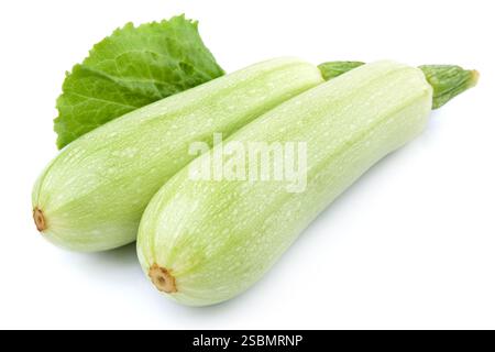 Fresh vegetable marrow. Isolated on white Stock Photo