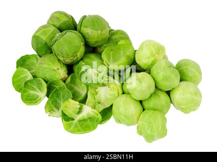 Group of Brussels sprouts being peeled and prepared for cooking  with peeled and unpeeled sprouts isolated on a white background Stock Photo