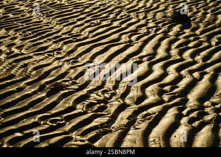 Abstract patterns from waves in sand. Ripples on beach. Golden tones, low key, high contrast. Stock Photo