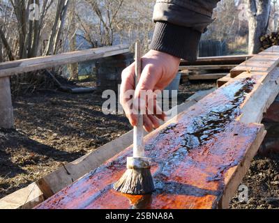 hands of carpenter or painter applying brown paint or dark oil with round brush on textured wall outdoors, treatment with protective oil liquid Stock Photo