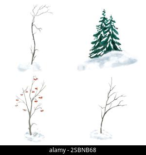 Winter trees without leaves and grass in a set with green firs. Watercolor illustration in digital. Graceful rowan and firs in a snowdrift, isolated o Stock Photo