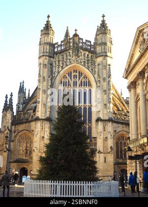 Bath Abbey at Christmas time with Christmas tree in foreground. Bath, Somerset, UK Stock Photo
