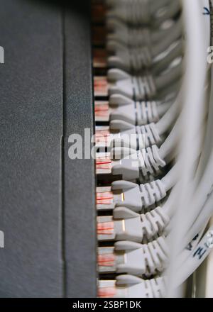 Router Connection Cables Internet Cable. High quality photo Stock Photo