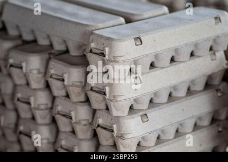Egg cartons at Poultry Farm (Armenteros Finca), Panama Stock Photo