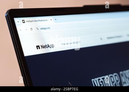 New York, USA - January 31, 2025: NetApp data storage and cloud computing company website displayed on laptop screen Stock Photo