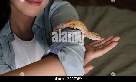 A close-up of a smiling woman interacting with a gecko on her arm. The image emphasizes companionship and the growing appreciation for reptiles as Stock Photo