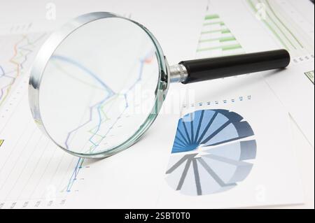 Graphs tables and documents laid on the table Stock Photo
