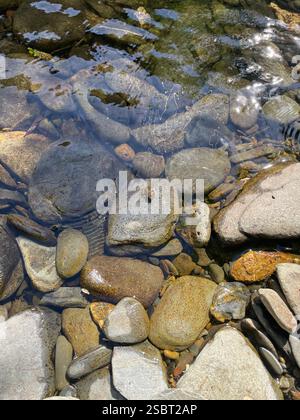 Natural River pebbles in water with frog Stock Photo