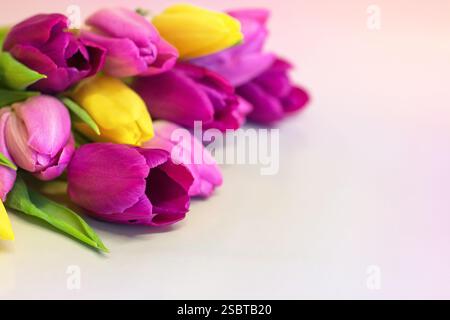 Vibrant tulips on pastel background with space for copy/text; suitable for gift cards, a personal message, Birthday greetings,or Mother's Day message. Stock Photo