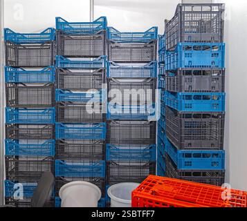 Stacks of New Plastic Crates for Packaging Produce Agriculture Farm Shipping Stock Photo