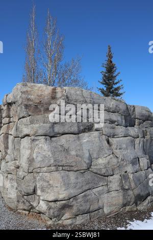 The Buffalo Rubbin Stone was deposited by a glacier 18,000 years ago in Calgary, Canada Stock Photo