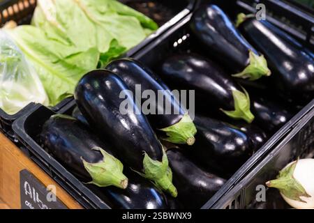 Fresh eggplants in plastic boxes Stock Photo