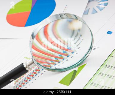 Graphs tables and documents laid on the table Stock Photo