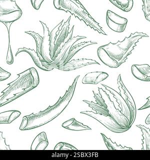 Aloe vera plant seamless pattern. Hand drawn sketch vector illustration. Natural herbal medicine or cosmetics ingredients. Fabric design Stock Vector