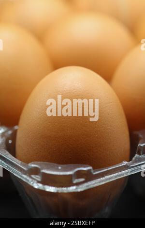 Large brown eggs in a plastic carton close up Stock Photo