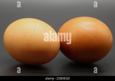 Two large brown eggs isolated on a dark background Stock Photo