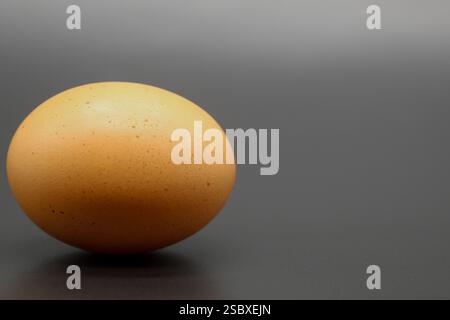 A single large brown egg isolated on a dark background Stock Photo
