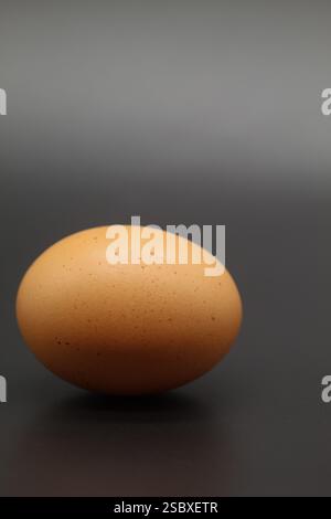 A single large brown egg isolated on a dark background Stock Photo
