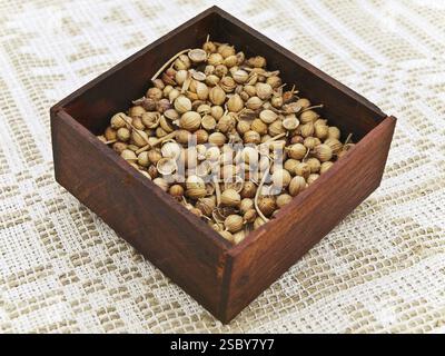 Coriander Seeds At Wooden Box At Linen Handmade Tablecloth Stock Photo