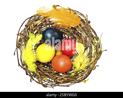 Easter Spring Nest With Multicolored Eggs Against White Stock Photo