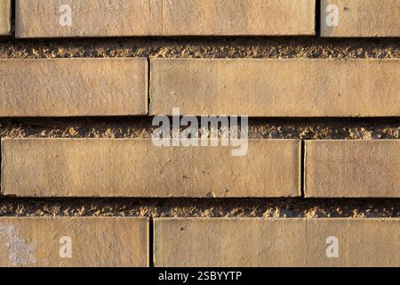 Light colored brick wall with sunset light, form an irregular background texture Stock Photo