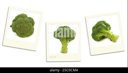 Thre Old Style Photos Of Broccoli Over White Background Stock Photo