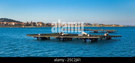 Mussel Aquaculture Rafts Batea, Mussel Growing Sea Platform, Batea Mussel Farms, Ría de Arousa, Arousa Estuary, Pontevedra, Galicia, Spain, Europe Stock Photo