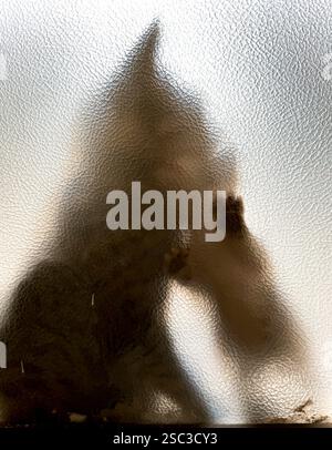Silhouette of a cat and it's kitten captured sitting behind a frosted glass Stock Photo