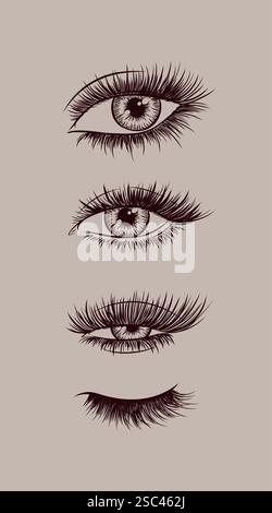 Eyes and eyelash collection drawing in graphic art style on beige background Stock Vector