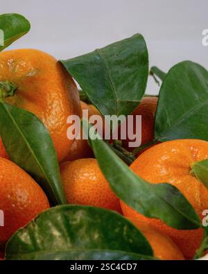 Fresh juicy tangerine mandarin orange close up Stock Photo