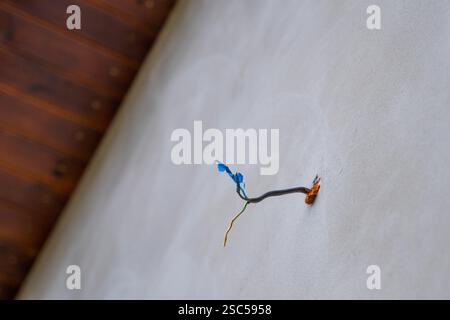 Wire sticking out of the wall of the house from the outside, view from below. Stock Photo