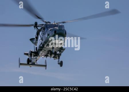 Royal Navy Wildcat HMA2 helicopter of 815 Naval Air Squadron which provides helicopters (small ships flights) for frigates and destroyers Stock Photo