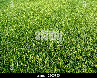 Lush green lawn stretches in front of large house with mountains behind ...