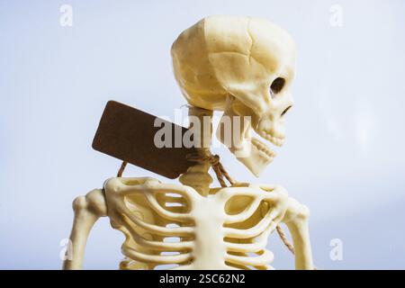 Model of artificial Human Skeleton on gray background Stock Photo